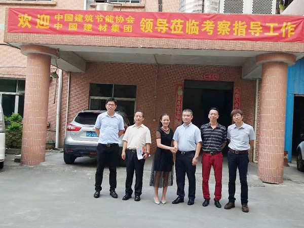  中国建材集团领导莅临考察指导工作 